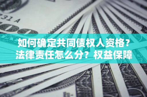 济南如何确定共同债权人资格？法律责任怎么分？权益保障技巧揭秘！