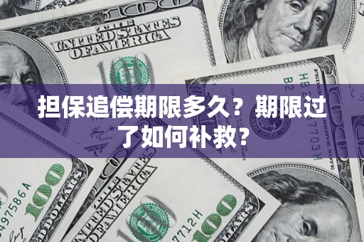 济南担保追偿期限多久？期限过了如何补救？
