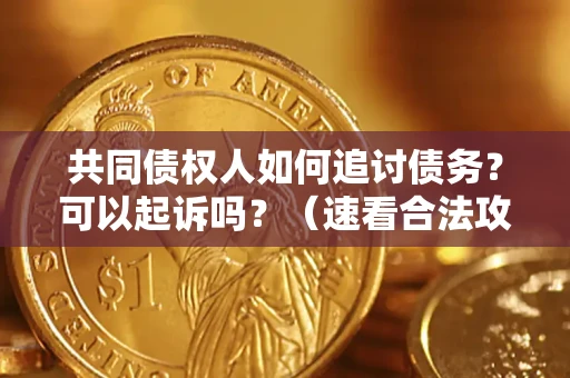 济南共同债权人如何追讨债务？可以起诉吗？（速看合法攻略）