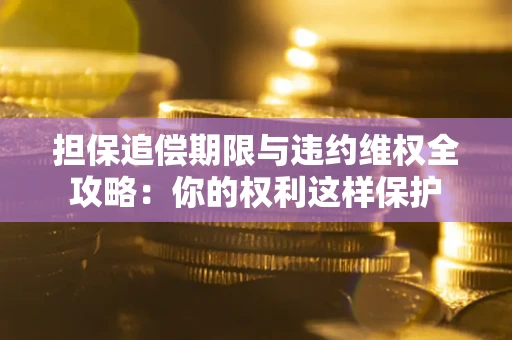 济南担保追偿期限与违约维权全攻略：你的权利这样保护